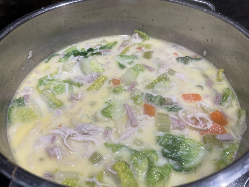 Chicken Macaroni Soup with cabbage
