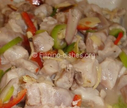 Filipino Fish Kilawin Dish – Kilawin na Isda